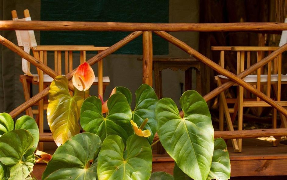 Simbamwenni Lodge And Camping Morogoro Zewnętrze zdjęcie