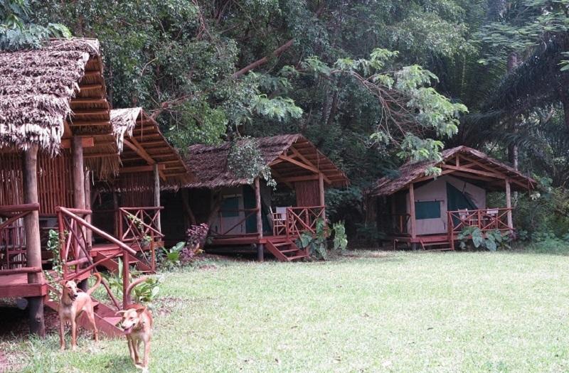 Simbamwenni Lodge And Camping Morogoro Zewnętrze zdjęcie