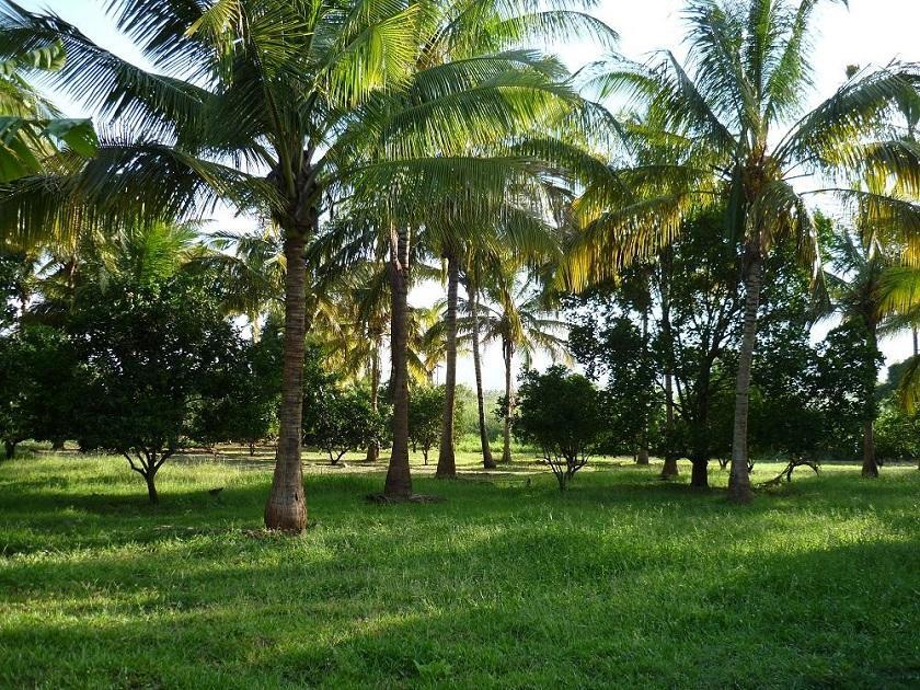 Simbamwenni Lodge And Camping Morogoro Zewnętrze zdjęcie